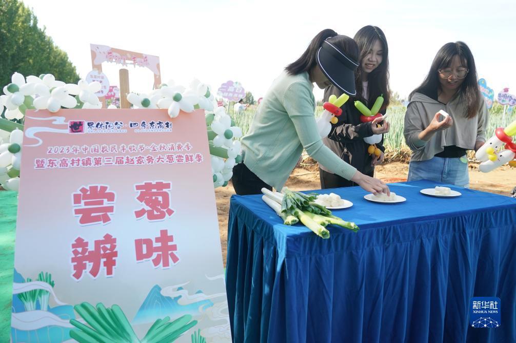 下载捕鱼网